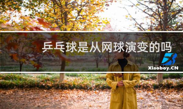 乒乓球是从网球演变的吗图片
