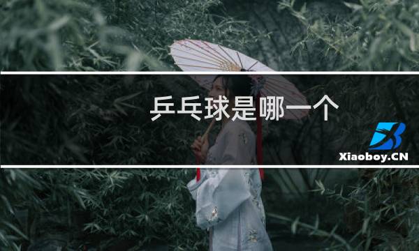 乒乓球是哪一个图片