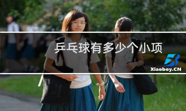 乒乓球有多少个小项图片
