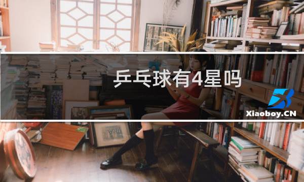 乒乓球有4星吗图片