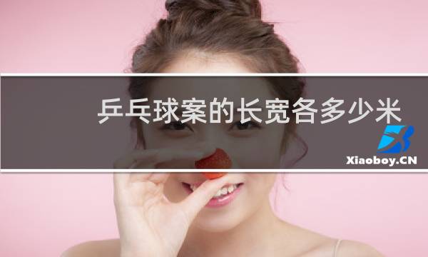 乒乓球案的长宽各多少米图片