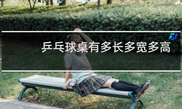 乒乓球桌有多长多宽多高图片
