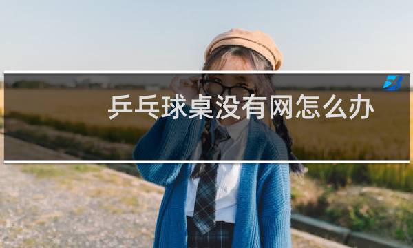 乒乓球桌没有网怎么办图片