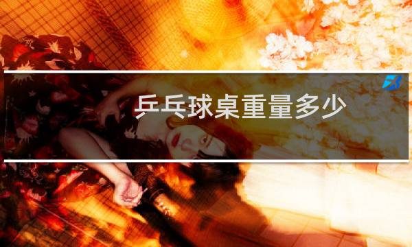 乒乓球桌重量多少图片