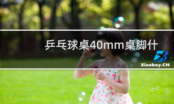乒乓球桌40mm桌脚什么意思图片