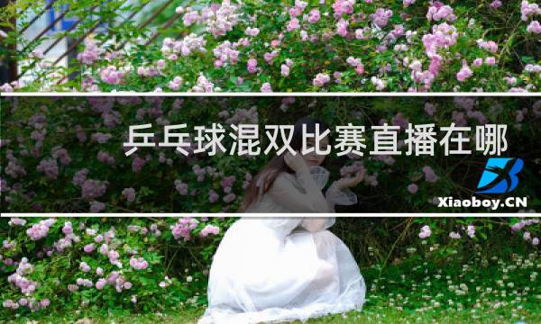 乒乓球混双比赛直播在哪里看图片