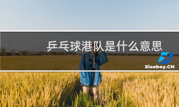乒乓球港队是什么意思图片