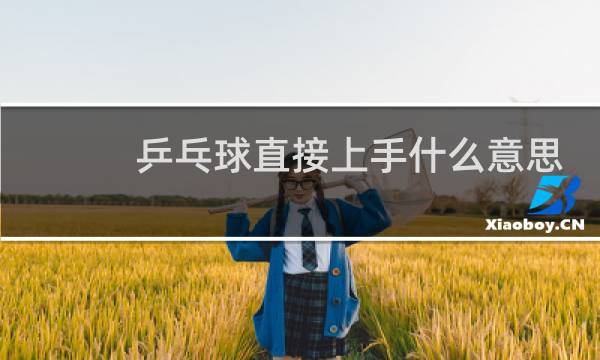 乒乓球直接上手什么意思图片