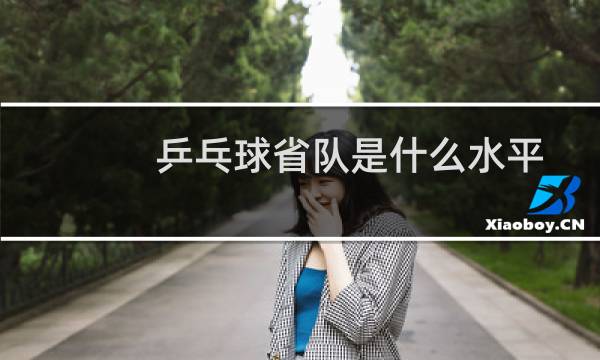 乒乓球省队是什么水平图片
