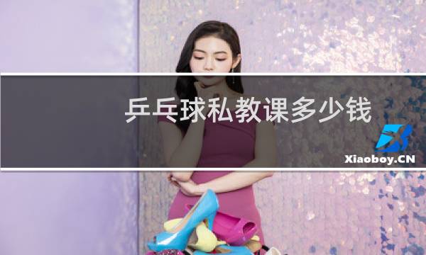 乒乓球私教课多少钱图片