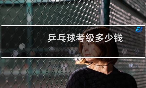 乒乓球考级多少钱图片