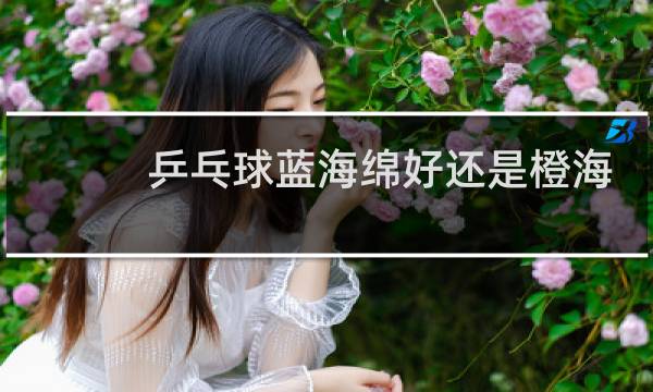 乒乓球蓝海绵好还是橙海绵好图片