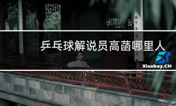 乒乓球解说员高菡哪里人图片