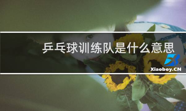 乒乓球训练队是什么意思图片