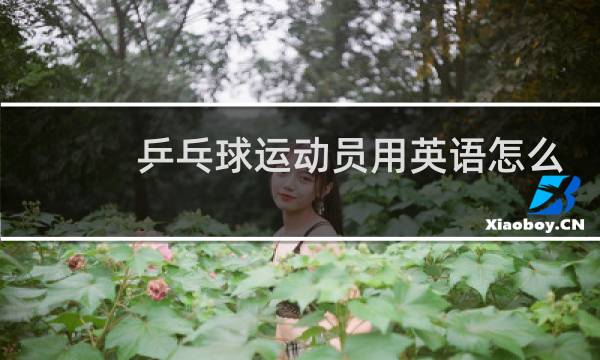 乒乓球运动员用英语怎么说图片