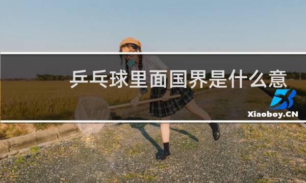 乒乓球里面国界是什么意思图片