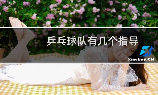 乒乓球队有几个指导图片