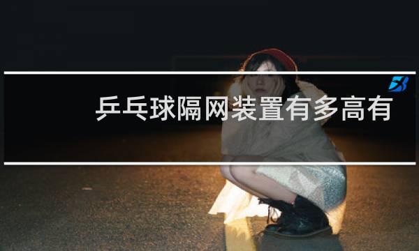 乒乓球隔网装置有多高有多长图片