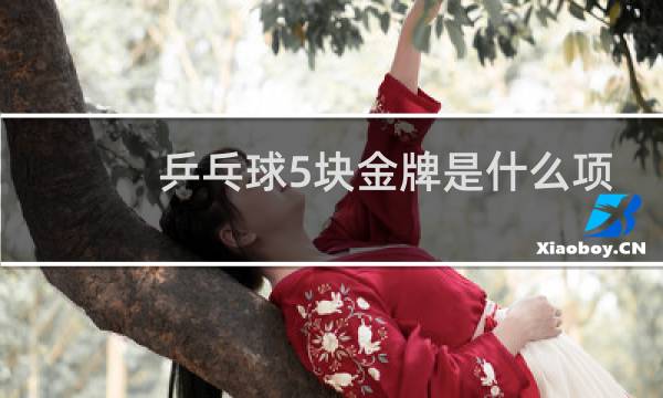 乒乓球5块金牌是什么项目图片