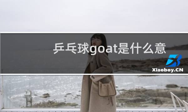 乒乓球goat是什么意思图片