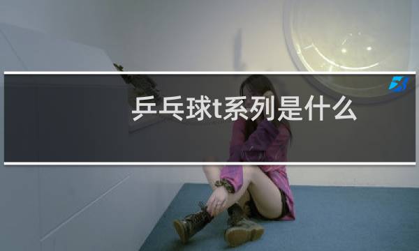 乒乓球t系列是什么图片