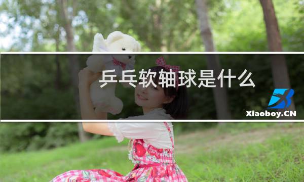 乒乓软轴球是什么图片