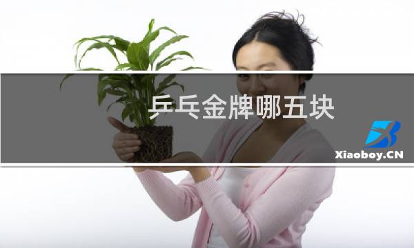 乒乓金牌哪五块图片
