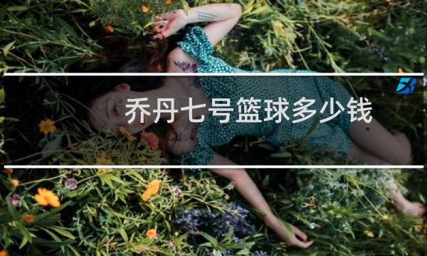 乔丹七号篮球多少钱图片