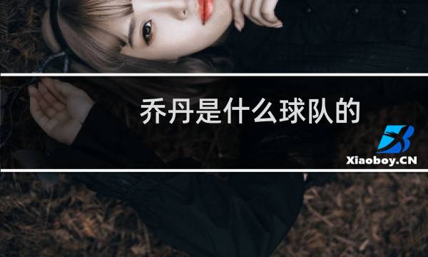 乔丹是什么球队的图片