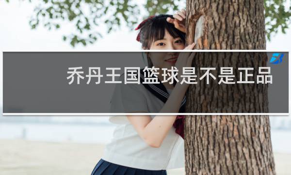 乔丹王国篮球是不是正品图片