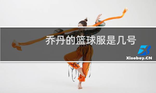乔丹的篮球服是几号图片