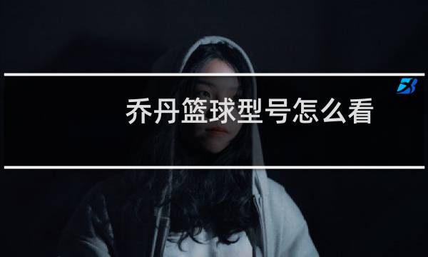乔丹篮球型号怎么看图片