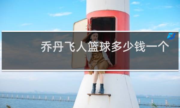 乔丹飞人篮球多少钱一个图片