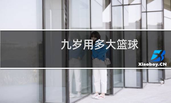 九岁用多大篮球图片