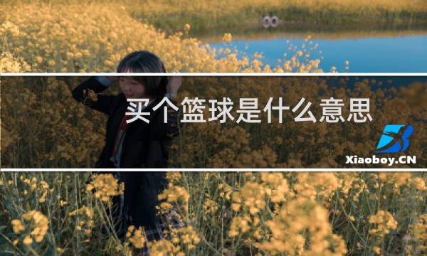 买个篮球是什么意思图片