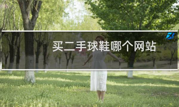 买二手球鞋哪个网站图片