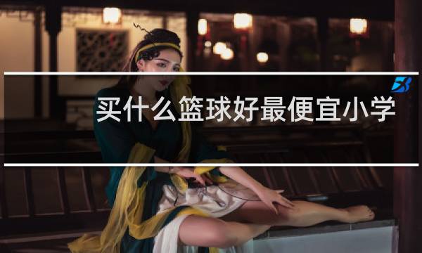 买什么篮球好最便宜小学生图片