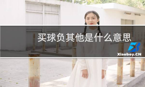 买球负其他是什么意思图片