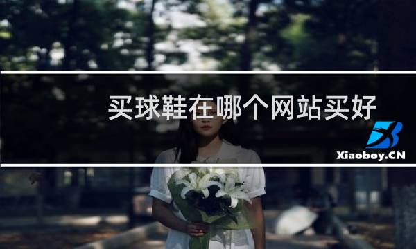 买球鞋在哪个网站买好图片