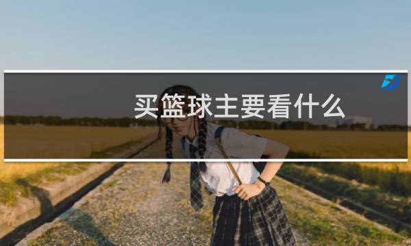 买篮球主要看什么图片