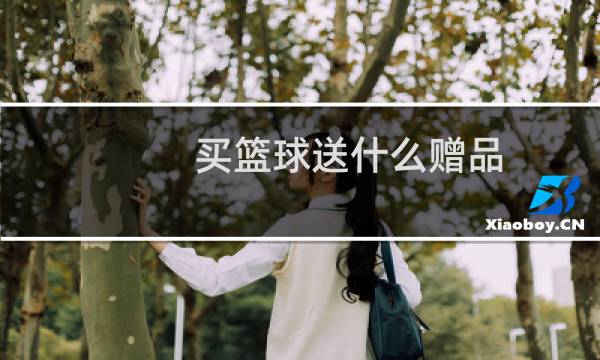 买篮球送什么赠品图片