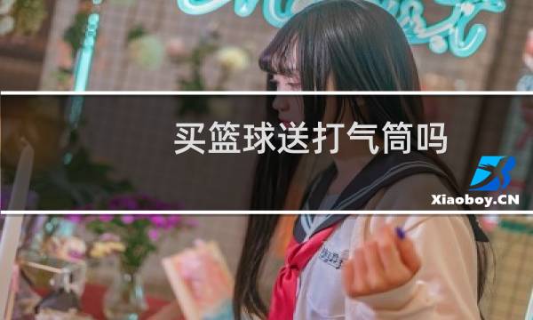 买篮球送打气筒吗图片