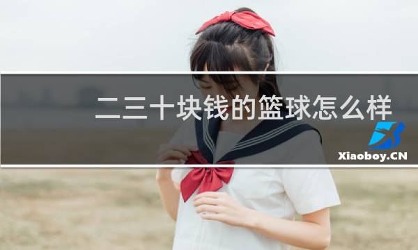 二三十块钱的篮球怎么样图片