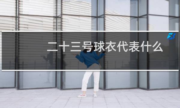 二十三号球衣代表什么图片