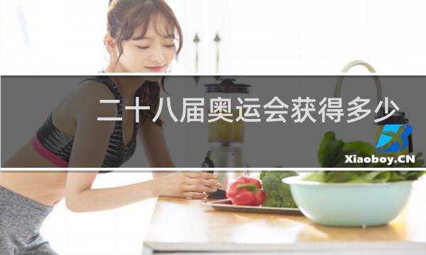 二十八届奥运会获得多少金牌图片