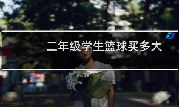 二年级学生篮球买多大图片