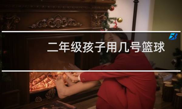 二年级孩子用几号篮球图片