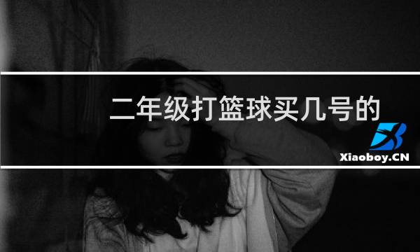 二年级打篮球买几号的图片