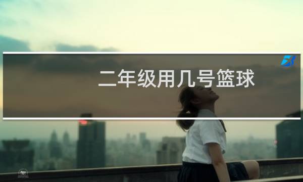 二年级用几号篮球图片