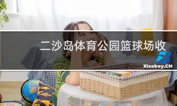 二沙岛体育公园篮球场收费吗图片